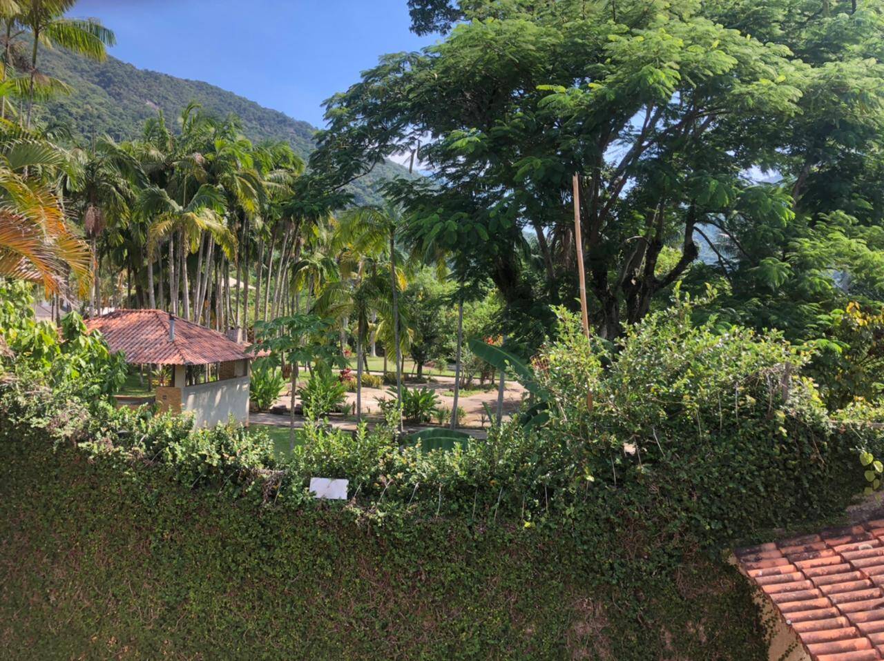 Fazenda à venda com 4 quartos, 10000m² - Foto 16